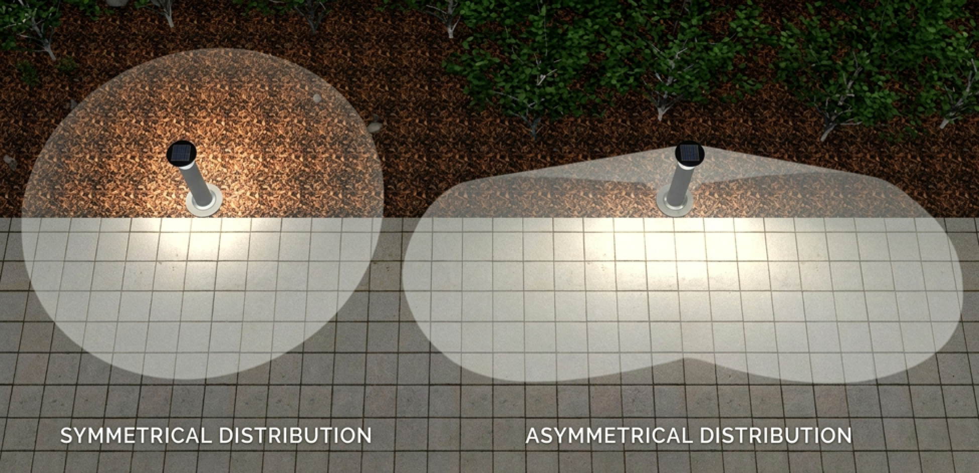 Lighting Distribution