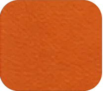 Pumpkin Orange