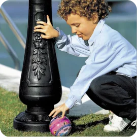 icon image