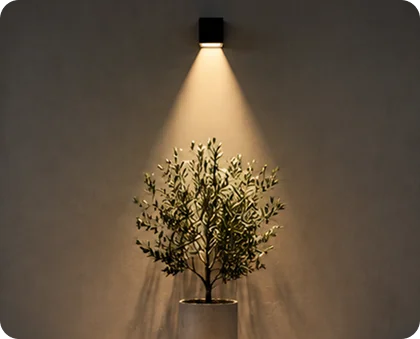 Spot beam